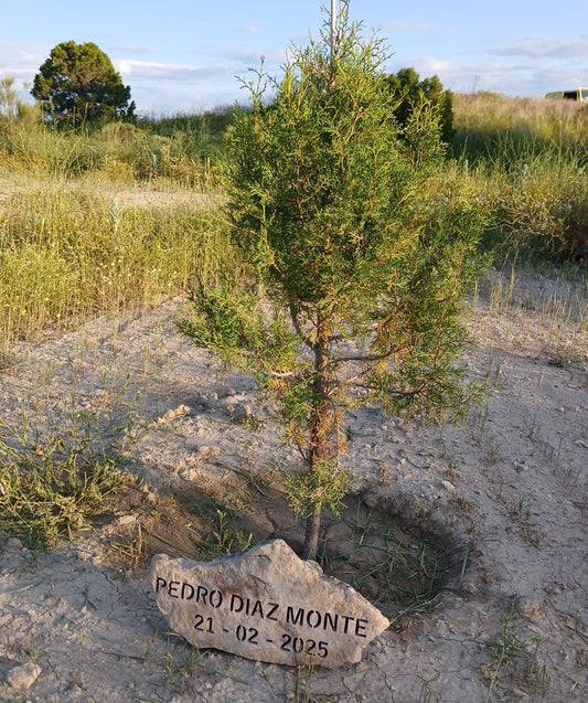 Plantación de Árbol en Memoria de un Ser Querido