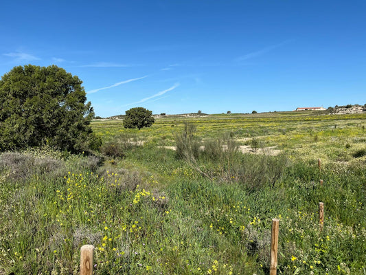 Individual Burial of Aromatic Plants on a Slope