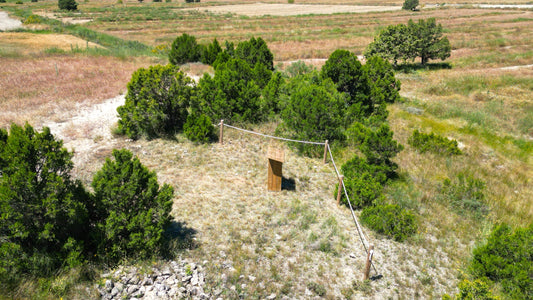 Spreading Ashes on Slopes of Aromatic Plants