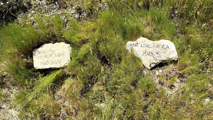 Inhumación Individual bajo Sabina Autóctona Centenaria (existente)