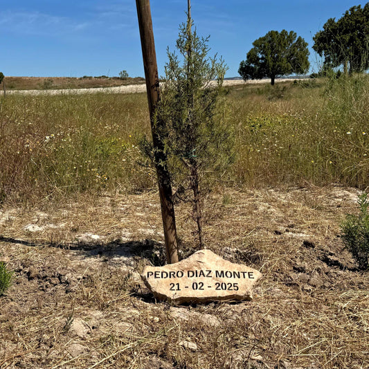 Plantación de Árbol en Memoria de un Ser Querido