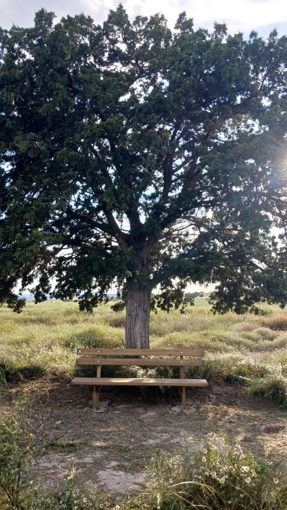 Inhumación Individual bajo Sabina Autóctona Centenaria (existente)