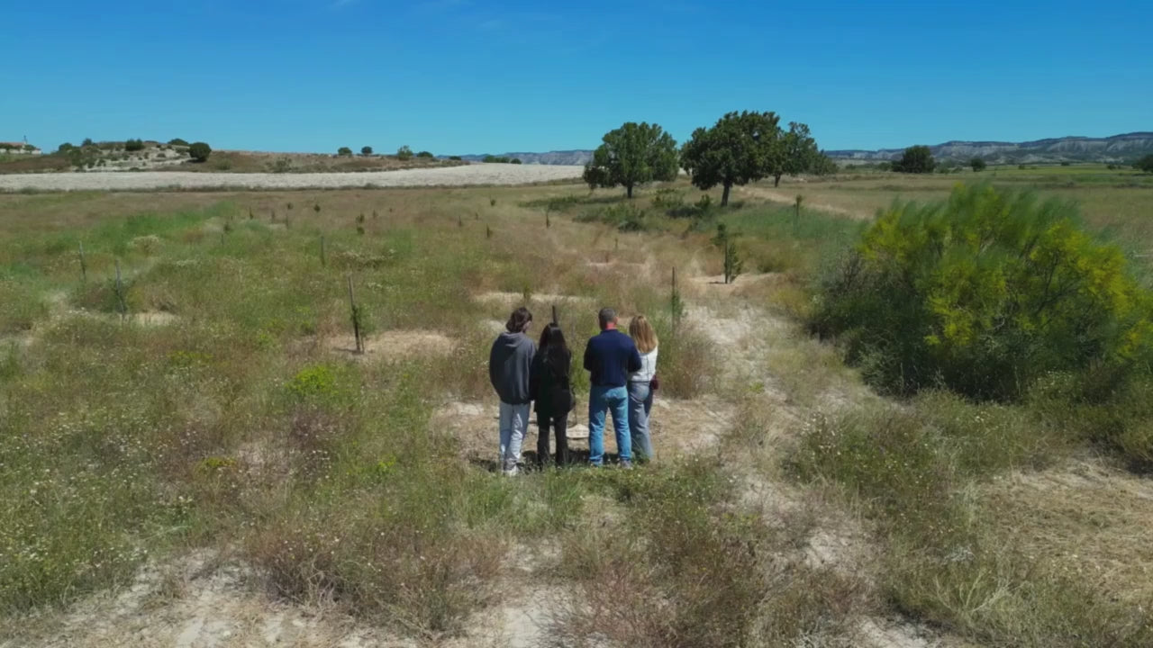Cargar video: 